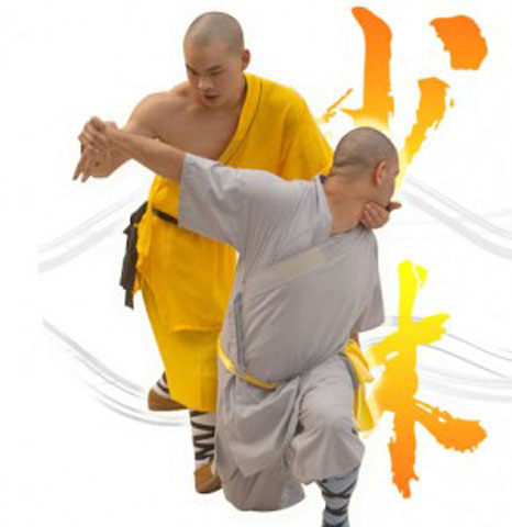Фотография двух бойцов демонстрирующих циньна