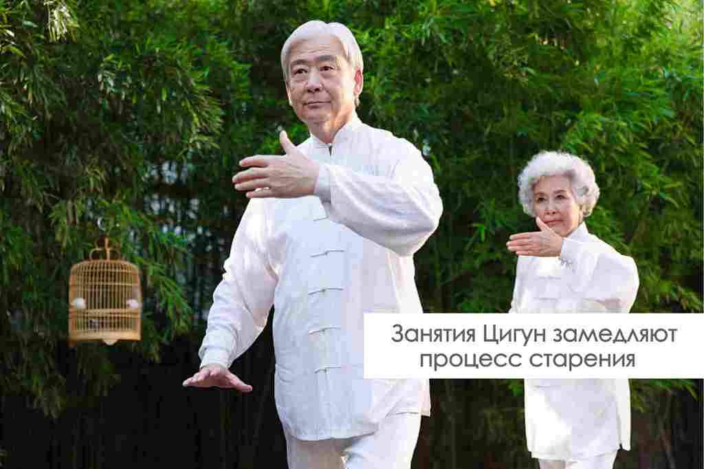 Пожилые люди занимаются цигун